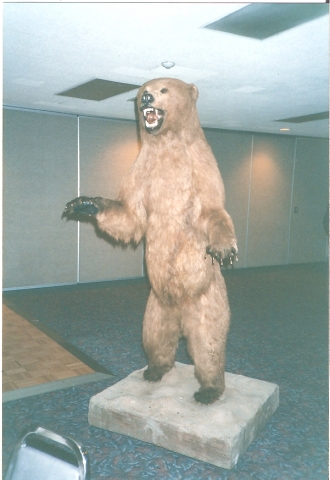 Thanks to Lawrence Owen - this is the grizzly our class donated to SHS in 1984